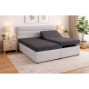 Polohovateľná posteľ  ALICA - poťahová látka: Falcone 68 tmavosivá / Falcone 21 Silver